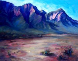 Arizona Sonoran Desert Museum Art Show